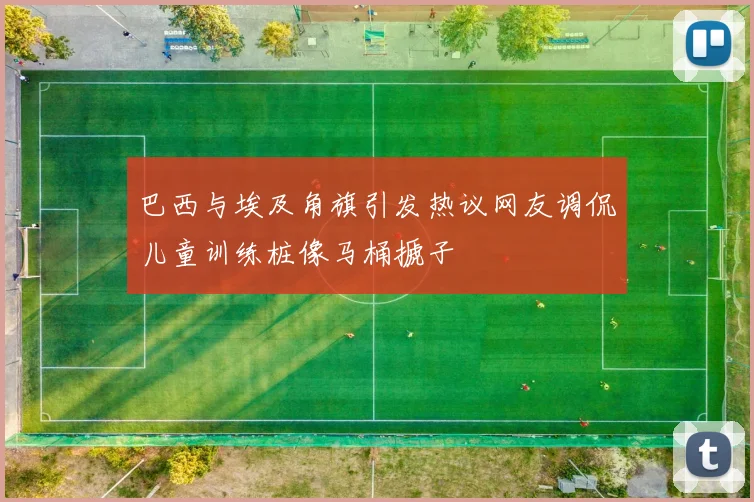 巴西与埃及角旗引发热议网友调侃儿童训练桩像马桶搋子