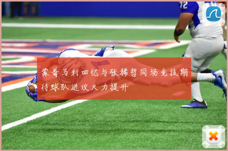 蒙哥马利回忆与张稀哲同场竞技期待球队进攻火力提升